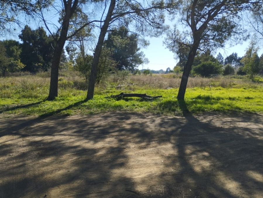 Commercial Property for Sale in Estoire Free State